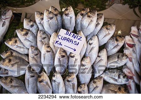 Turkey, Istanbul, Fish For Sale At Fish Market; Karakoy View Large Photo Image Picture - Turkey, Istanbul, Fish For Sale At Fish Market; Karakoy. Fotosearch