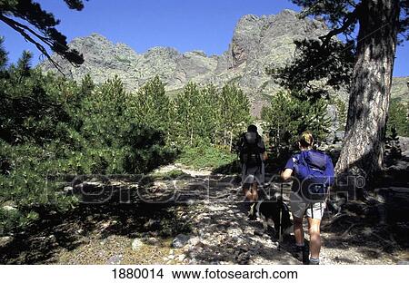 Picture - Two Backpackers Walking On Gr20. Fotosearch
