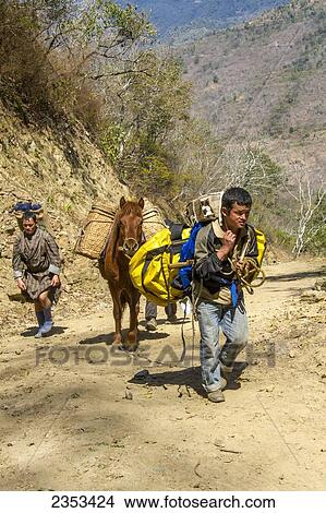 Picture - Two Bhutanese Male Porters Lead A Horse Carrying Camping Supplies On A Trek In Southern Bhutan To The Village Of Jangbi; Bhutan. Fotosearch