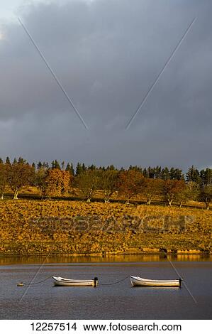Two canoes floating on a lake in autumn under a dark cloudy sky; Kielder, Northumberland, England View Large Photo Image Picture - Two canoes floating on a lake in autumn under a dark cloudy sky; Kielder, Northumberland, England. Fotosearch