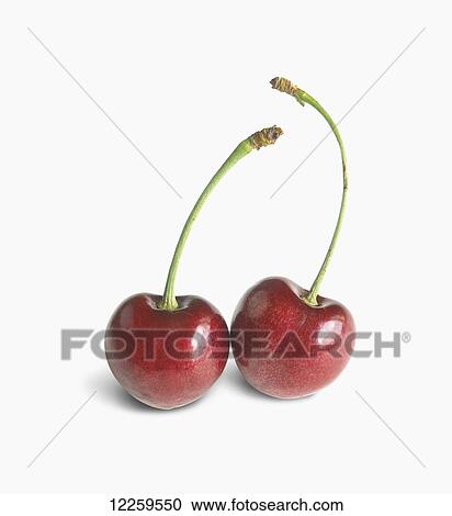 Two cherries on a white background View Large Photo Image Stock Image - Two cherries on a white background. Fotosearch