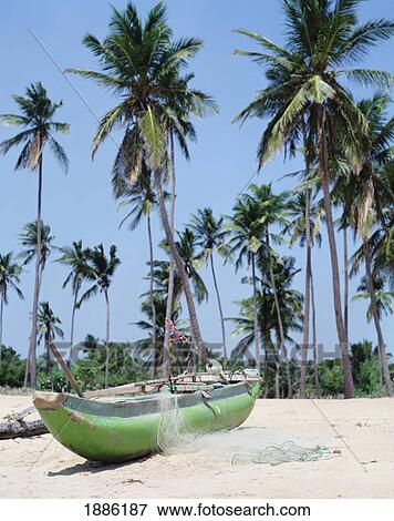 Stock Photo - Two Empty Sun Loungers And Thatched Umbrella On Nilaveli Beach. Fotosearch