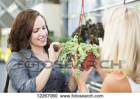 Stock Image - Two girlfriends looking at plants at an indoor greenhouse; St. Albert, Alberta, Canada. Fotosearch