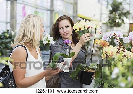 Stock Image - Two girlfriends looking at plants at indoor greenhouse; St. Albert, Alberta, Canada. Fotosearch
