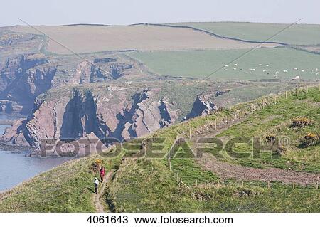 Stock Image - Two hikers between Marloes and Martin's Haven on Pembrokeshire Coast Path, South West Wales; Pembrokeshire, Wales. Fotosearch