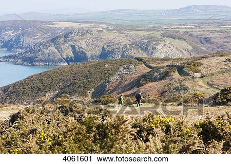 Stock Image - Two hikers near Strumble Head on the Pembrokeshire Coast Path, South West Wales; Pembrokeshire, Wales. Fotosearch