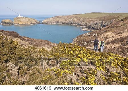 Stock Image - Two hikers with Strumble Head lighthouse in the distance, on the Pembrokeshire Coast Path, South West Wales; Pembrokeshire, Wales. Fotosearch