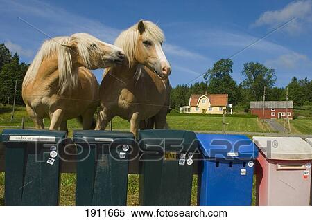 Stock Photography - Two Horses By Mailboxes, Sweden. Fotosearch