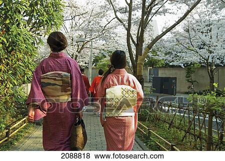 Stock Photo - Two Japanese Women In Kimonos Walking Down A Street With Cherry Blossoms; Tokyo, Japan. Fotosearch