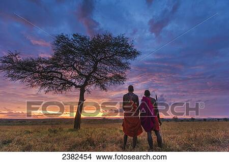 Two Masai tribesman at dawn on the African savannah by an umbrella acacia tree, Masai Mara; Kenya View Large Photo Image Picture - Two Masai tribesman at dawn on the African savannah by an umbrella acacia tree, Masai Mara; Kenya. Fotosearch