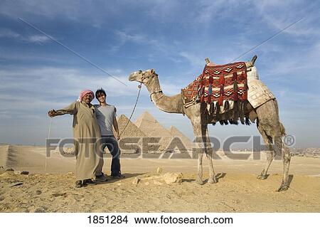 Picture - Two Men In The Desert With A Camel With The Pyramids In The Background. Fotosearch