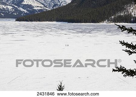 Two people in the distance crossing Lake Minnewanka after playing hockey on exposed ice surface, Banff National Park; Alberta, Canada View Large Photo Image Stock Photograph - Two people in the distance crossing Lake Minnewanka after playing hockey on exposed ice surface, Banff National Park; Alberta, Canada. Fotosearch