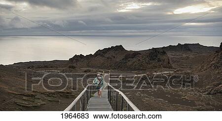 Two People Walking On A Wooden Boardwalk; Bartolome Island Galapagos Equador View Large Photo Image Stock Image - Two People Walking On A Wooden Boardwalk; Bartolome Island Galapagos Equador. Fotosearch