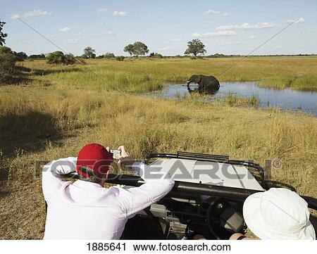 Stock Image - Two Tourists On Safari In A Car Looking At An Elephant. Fotosearch