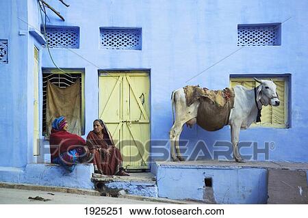 Two Women And A Cow Sitting Outside Of A House In Bundi, Rajasthan, India View Large Photo Image Stock Image - Two Women And A Cow Sitting Outside Of A House In Bundi, Rajasthan, India. Fotosearch