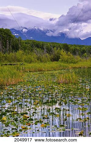 Stock Photo - Tyhee Lake And Hudson Bay Mountain, Tyhee Lake Provincial Park, British Columbia. Fotosearch