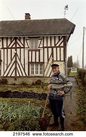 Typical House In Normandy Called: Maison Colombages. View Large Photo Image Stock Photograph - Typical House In Normandy Called: Maison Colombages.. Fotosearch