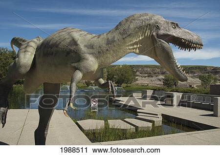 Tyrannosaurus Rex, Royal Tyrell Museum, Drumheller, Alberta, Canada View Large Photo Image Stock Image - Tyrannosaurus Rex, Royal Tyrell Museum, Drumheller, Alberta, Canada. Fotosearch