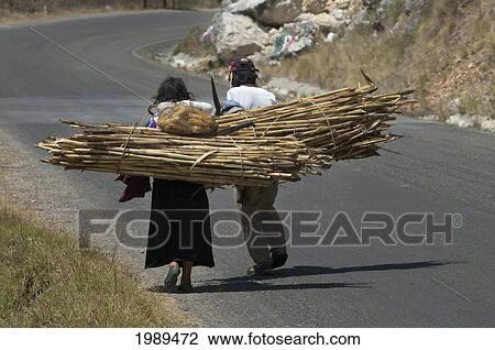 Stock Image - Tzotzil Maya Couple Carrying A Load Of Sugar Cane, Zinacantan, Chiapas, Mexico. Fotosearch