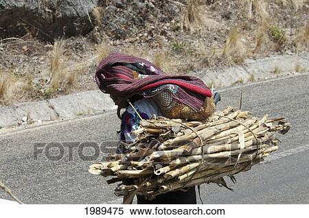 Stock Photography - Tzotzil Maya Woman Carrying A Load Of Sugar Cane, Zinacantan, Chiapas, Mexico. Fotosearch