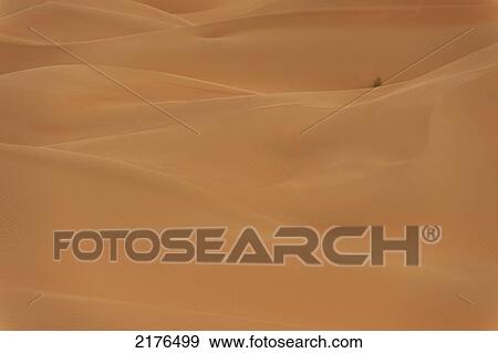 UAE, Abu Dhabi, Detail of tuft of grass in sand dunes at dusk; Liwa View Large Photo Image Stock Photo - UAE, Abu Dhabi, Detail of tuft of grass in sand dunes at dusk; Liwa. Fotosearch