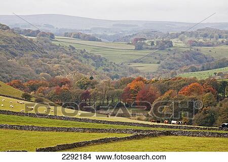 Picture - UK, England, Derbyshire, Autumn landscape. Fotosearch