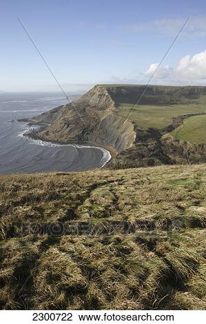 Stock Image - Uk, England, Headland Near Worth Matravers; Dorset. Fotosearch