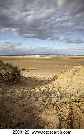 Stock Photo - Uk, England, Holkham Beach; Norfolk. Fotosearch
