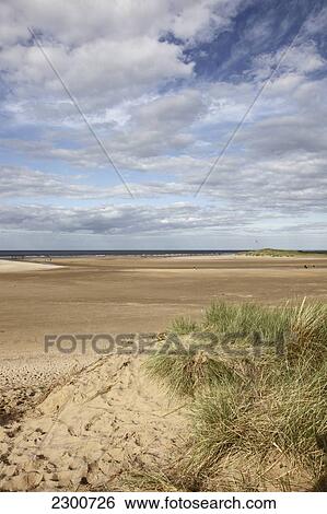 Uk, England, Holkham Beach; Norfolk View Large Photo Image Stock Photograph - Uk, England, Holkham Beach; Norfolk. Fotosearch