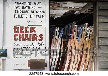 Uk England Isle Of Wight Deckchair Hire On Steephill Cove