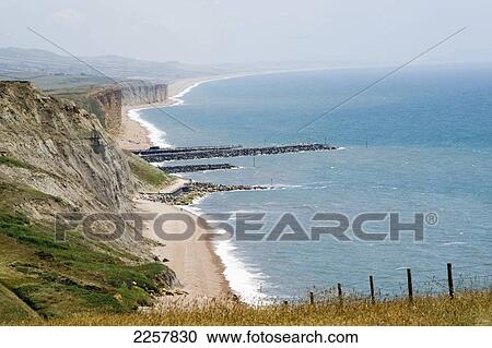 Stock Image - Uk, England, Jurassic Coast; West Dorset. Fotosearch