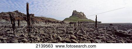 Uk, England, Northumberland, Northumbrian Coast, Panoramic View Of Lindisfarne Castle At Low Tide; Holy Island View Large Photo Image Stock Image - Uk, England, Northumberland, Northumbrian Coast, Panoramic View Of Lindisfarne Castle At Low Tide; Holy Island. Fotosearch