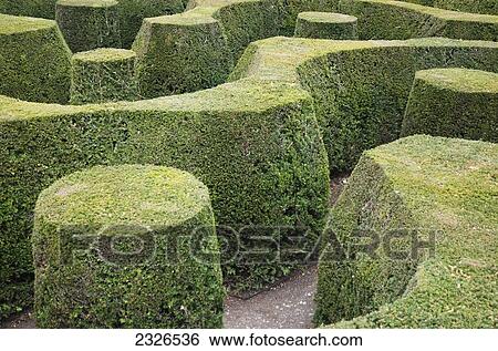 Stock Photograph - UK, England, Oxfordshire, The Marlborough Maze at Blenheim Palace; Woodstock. Fotosearch
