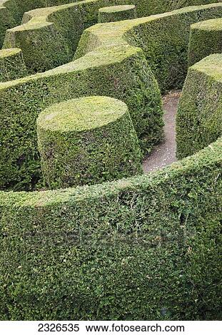 UK, England, Oxfordshire, The Marlborough Maze at Blenheim Palace; Woodstock View Large Photo Image Stock Photography - UK, England, Oxfordshire, The Marlborough Maze at Blenheim Palace; Woodstock. Fotosearch