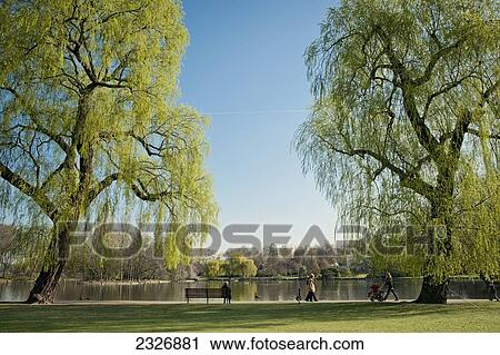Stock Image - UK, England, Regents Park; London. Fotosearch