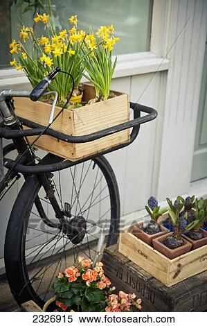 UK, England, Vintage bicycle with flowers in Bermondsey; London View Large Photo Image Stock Photography - UK, England, Vintage bicycle with flowers in Bermondsey; London. Fotosearch