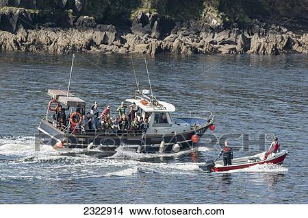 UK, Ireland, County Kerry, Dingle, Dingle Bay, Tourists assembled on motor boats View Large Photo Image Picture - UK, Ireland, County Kerry, Dingle, Dingle Bay, Tourists assembled on motor boats. Fotosearch