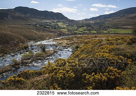 UK, Ireland, County Kerry, Iveragh Peninsula, River Behy with MacGillycuddy's Reeks in background View Large Photo Image Stock Photography - UK, Ireland, County Kerry, Iveragh Peninsula, River Behy with MacGillycuddy's Reeks in background. Fotosearch