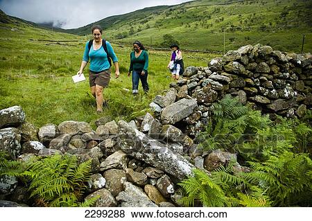 UK, North Wales, Snowdonia National Park, Three people walking the trails and footpaths of Snowdonia. passing a crumbled dry stone wall; Nantgwynant View Large Photo Image Stock Photo - UK, North Wales, Snowdonia National Park, Three people walking the trails and footpaths of Snowdonia. passing a crumbled dry stone wall; Nantgwynant. Fotosearch