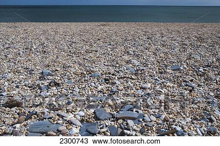 Uk, Pebble Beach; Devon View Large Photo Image Stock Image - Uk, Pebble Beach; Devon. Fotosearch