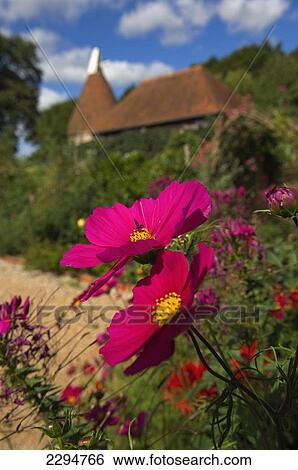Stock Photograph - UK, Perch Hill Farm and Gardens; East Sussex. Fotosearch