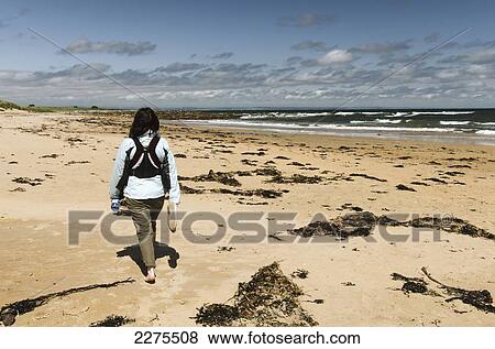 Uk, Scotland, Fife, Woman Walking On Kingsbarns Beach; East Neuk View Large Photo Image Stock Photo - Uk, Scotland, Fife, Woman Walking On Kingsbarns Beach; East Neuk. Fotosearch