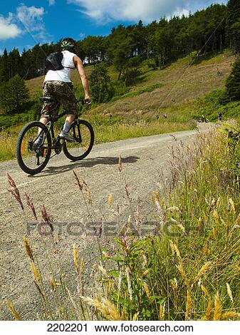 Stock Image - UK, Scotland, Glentree forest; Tweed Valley, Mountain bikers ascending hilly trail in sun near Peebles. Fotosearch
