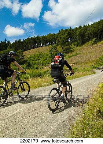 UK, Scotland, Glentree forest; Tweed Valley, Mountain bikers on hilly trail near Peebles View Large Photo Image Stock Photo - UK, Scotland, Glentree forest; Tweed Valley, Mountain bikers on hilly trail near Peebles. Fotosearch