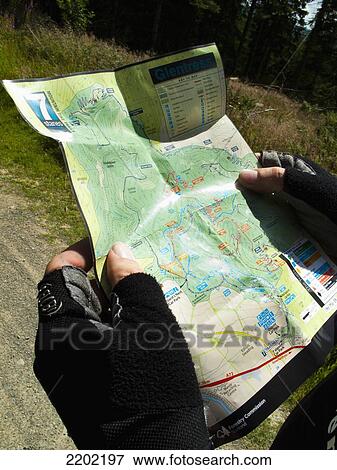 Stock Photo - UK, Scotland, Glentree forest; Tweed Valley, Mountain biker reading trail map near Peebles. Fotosearch