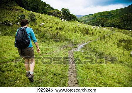 UK, Snowdonia National Park; North Wales, Woman Walking on trail; Nantgwynant View Large Photo Image Stock Photography - UK, Snowdonia National Park; North Wales, Woman Walking on trail; Nantgwynant. Fotosearch