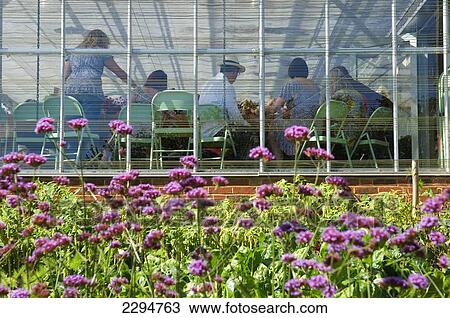 UK, Visitors day at Perch Hill Farm and Gardens; East Sussex View Large Photo Image Stock Image - UK, Visitors day at Perch Hill Farm and Gardens; East Sussex. Fotosearch