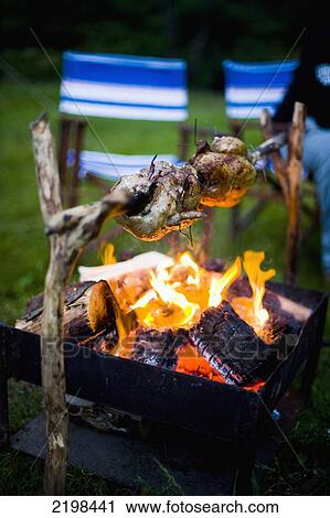 Stock Image - UK, Wales, North Wales, Snowdonia National Park, Spit roast chicken over open fire at Llyn Gwynant Campsite; Nant Ggwynant. Fotosearch