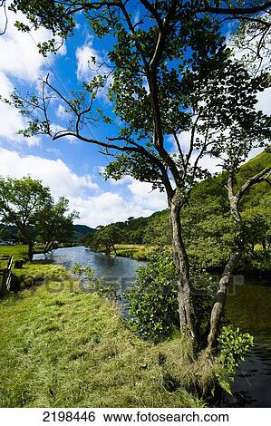 UK, Wales, North Wales, Snowdonia National Park, River and trees near Llyn Gwynant Campsite; Nant Ggwynant View Large Photo Image Stock Photograph - UK, Wales, North Wales, Snowdonia National Park, River and trees near Llyn Gwynant Campsite; Nant Ggwynant. Fotosearch