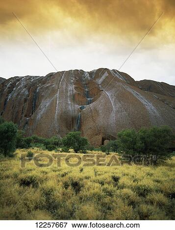 Uluru during the rain, Central Australia; Northern Territory, Australia View Large Photo Image Stock Photo - Uluru during the rain, Central Australia; Northern Territory, Australia. Fotosearch